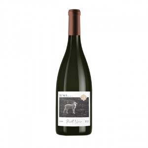 Te Wa Wines Pinot Noir 2019